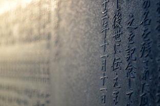 48. 四年级游记类阅读答题模板，四年级游记类阅读理解插图1