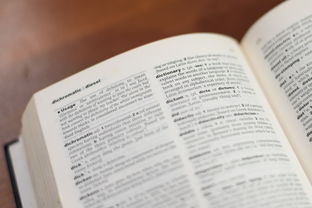 17. 小学语文1-6年级字词库，语文小学生字词插图1