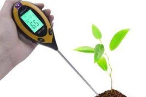 初中化学课件化学肥料,初中化学化学肥料ppt