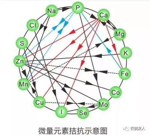 初中化学课件化学肥料，初中化学化学肥料教案插图
