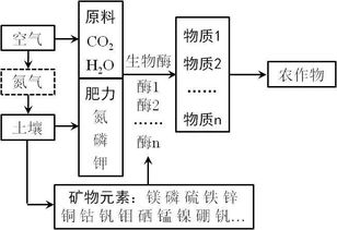 初中化学课件化学肥料，初中化学化学肥料教案插图1