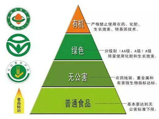 初中化学课件化学肥料，初中化学化学肥料教案插图2