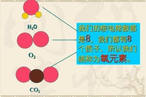 人教版初中化学课件哪里下载,初中化学教材人教版电子版下册