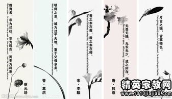 关于初中语文的学习方法，初中语文的方法和技巧插图