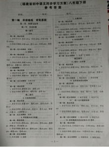 关于初中语文的学习方法，初中语文的方法和技巧插图1