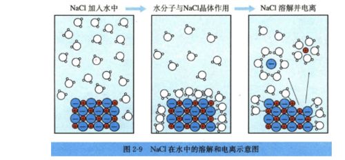 初中化学课件下册酸碱的导电性，酸和碱的导电能力插图2