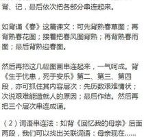 初中语文学习方法演讲稿，如何学好语文初中生演讲稿