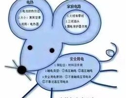 初中生如何学好物理的方法，初中孩子怎样学好物理