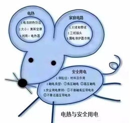 初中生如何学好物理的方法，初中孩子怎样学好物理插图