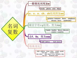 初中英语如何学好快速提升,初中英语提升最快的方法插图 初中英语如何学好快速提升,初中英语提升最快的方法插图