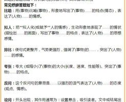 初中语文4种高效学习方法，初中语文如何