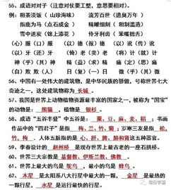 初中语文基础知识学习方法和技巧,初中语文的基础知识插图 初中语文基础知识学习方法和技巧,初中语文的基础知识插图